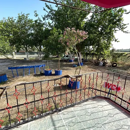 Uygar * פאטהיה