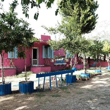 Uygar Oda ve Kahvaltı Fethiye